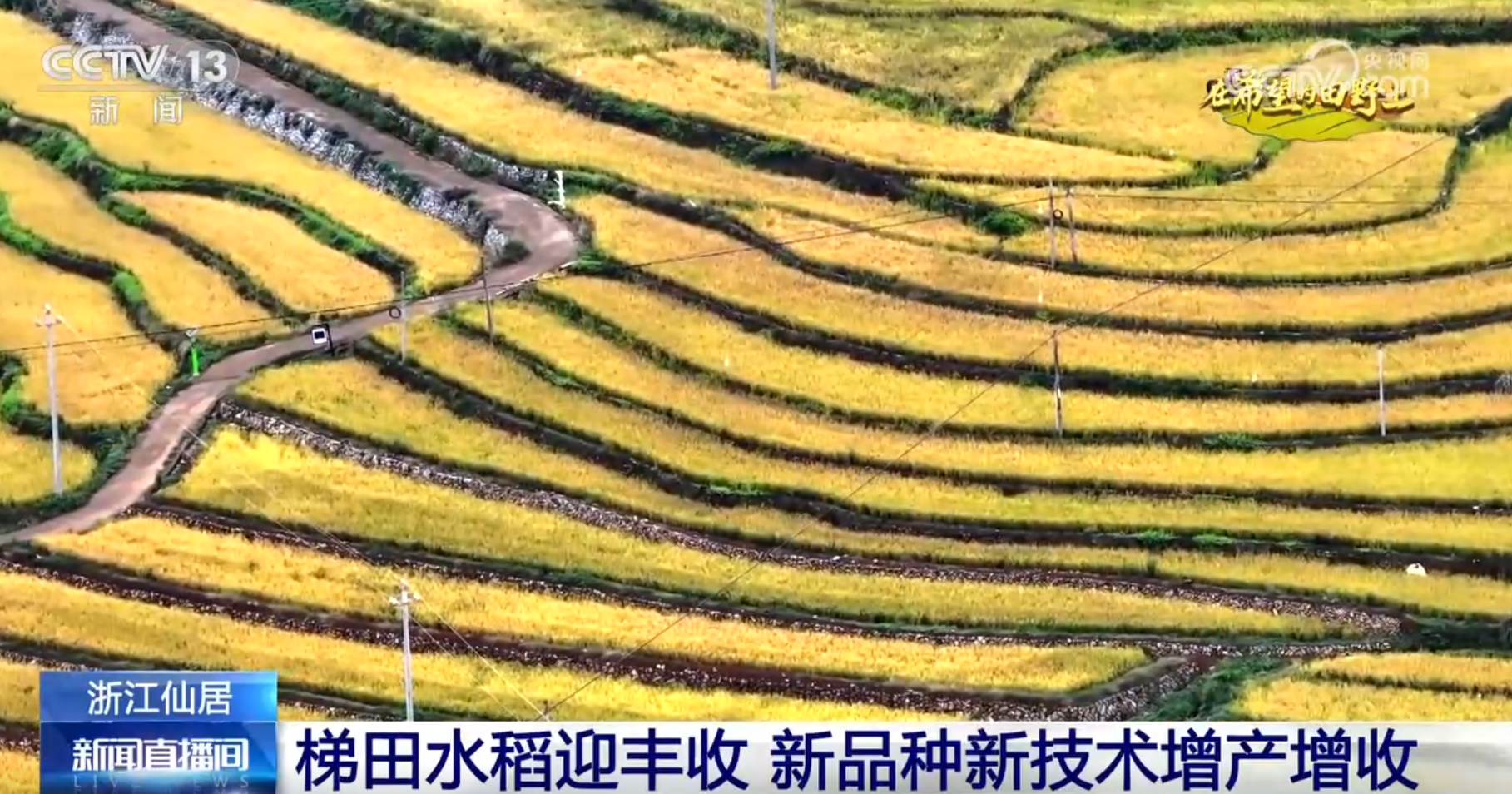“丰”景画卷 农业高“智”量发展行稳致远凯发K8旗舰店APP希望的田野上铺展多彩(图12)