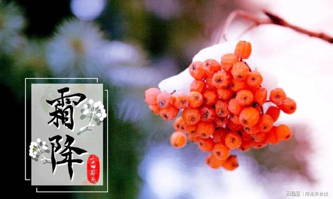 吃3红2白少吃2绿合理饮食顺利入冬凯发K8国际版霜降来临要懂得忌嘴多(图4)