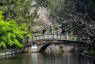 心电话 - 环境户型价格地址楼盘详情配套电话交房时间配套楼盘百科凯发平台万科中兴傲舍 (售楼处) 网站 - 万科中兴傲舍销售中(图8) 心电话 - 环境户型价格地址楼盘详情配套电话交房时间配套楼盘百科凯发平台万科中兴傲舍 (售楼处) 网站 - 万科中兴傲舍销售中(图8)