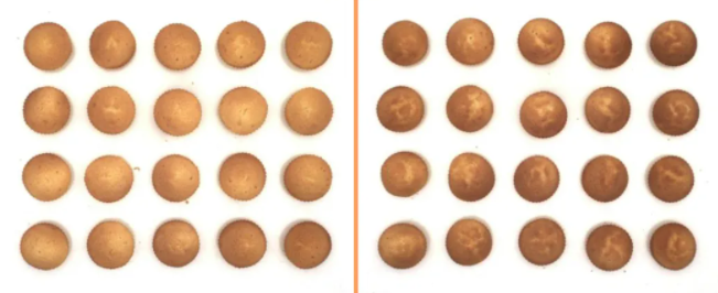 款家用烤箱测评！谁的烘焙效果最好？凯发app网站蛋糕、吐司、烤鸡9